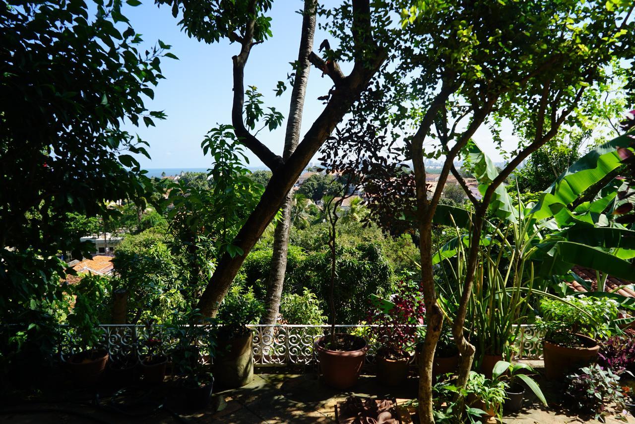 Irradiante 3* Olinda